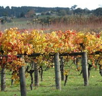 Apsley Gorge Vineyard - Grafton Accommodation