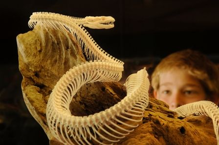 Araluen Cultural Precinct - Grafton Accommodation 4