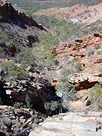 Serpentine Chalet Bush Camping Area - Grafton Accommodation 0