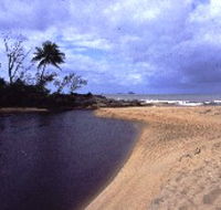 Russell River National Park - Grafton Accommodation