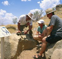 Riversleigh Fossil Fields - Grafton Accommodation