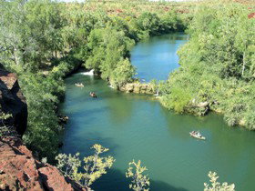 Wild Dog Dreaming, Boodjamulla (Lawn Hill) National Park - Grafton Accommodation 0
