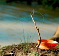 Charleville - Mangalore Warrego River Fishing Spot - Grafton Accommodation