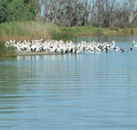 Lake Ross - Grafton Accommodation
