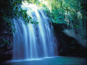 Zillie Falls - Grafton Accommodation 0