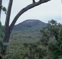 Mount Fox - Grafton Accommodation