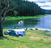 Danbulla National Park and Danbulla State Forest - Grafton Accommodation