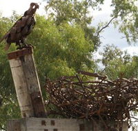 Blackall Sculpture Trail - Grafton Accommodation