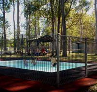 Teddington Weir and Picnic Reserve - Grafton Accommodation