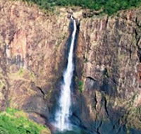 Buujan Quiinbiira Walk Wet Tropics Great Walk - Grafton Accommodation