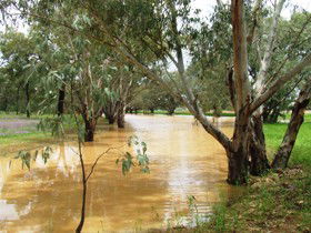 Saddliers Waterhole And Hamburg Creek - Grafton Accommodation 0