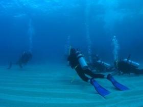 Egg Rock Dive Site - Grafton Accommodation 0