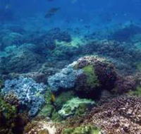 Hoffman's Rocks Dive Site
