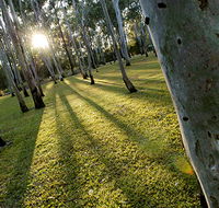Tondoon Botanic Gardens - Grafton Accommodation