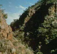 Werribee Gorge State Park - Grafton Accommodation