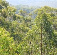 Bunyip State Park - Grafton Accommodation