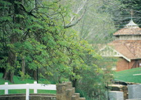 Hepburn Regional Park - Grafton Accommodation 0