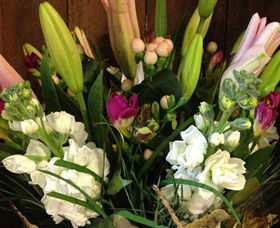 Alpine Blooms Florist Mansfield - Grafton Accommodation 0