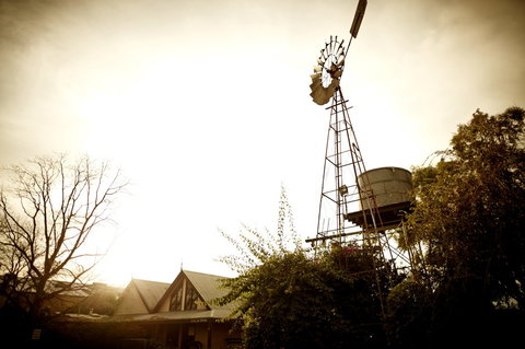 Brown Brothers Milawa Vineyard - Grafton Accommodation 1