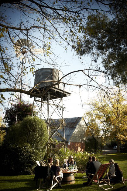 Brown Brothers Milawa Vineyard - Grafton Accommodation 5