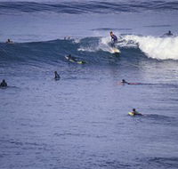 Point Addis Marine National Park - Grafton Accommodation