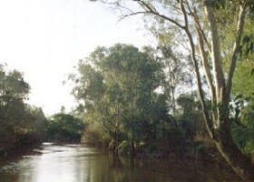 Banksia Park - Grafton Accommodation 0