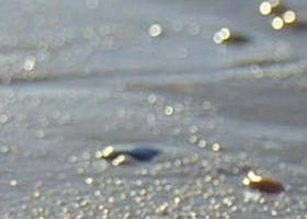 Walkerville South VIC Grafton Accommodation