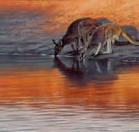Steve Morvell Wildlife Art - Grafton Accommodation