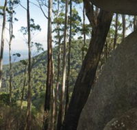 Gulaga National Park - Grafton Accommodation