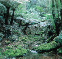 Deua National Park - Grafton Accommodation