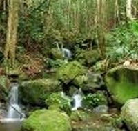 Budderoo National Park - Grafton Accommodation