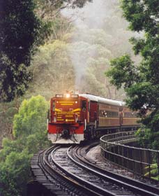 Cockatoo Run - Scenic Tour Train Operated By 3801 Limited - Grafton Accommodation 0
