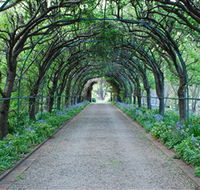 Foxglove Spire Gardens - Grafton Accommodation