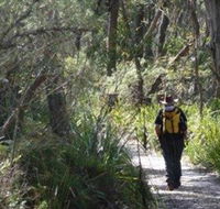 Barren Grounds Nature Reserve - Grafton Accommodation