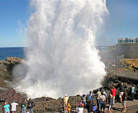 Kiama Blowhole - Grafton Accommodation 0