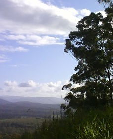 Sherwood Nature Reserve - Grafton Accommodation 0