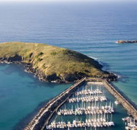 Muttonbird Island Nature Reserve - Grafton Accommodation