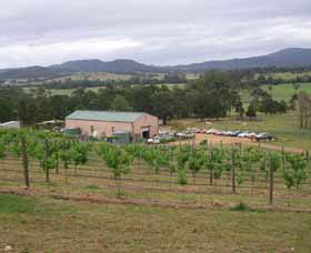 Villa D Esta Vineyard - Grafton Accommodation 0