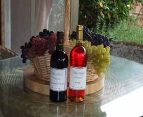 Villa D Esta Vineyard - Grafton Accommodation 2
