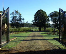 Moorebank Private Vineyard - Grafton Accommodation 3