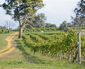 Shaw Vineyard Estate - Grafton Accommodation 1