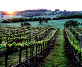 Philip Shaw Wines - Grafton Accommodation 1