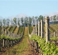 Philip Shaw Wines - Grafton Accommodation