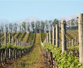 Philip Shaw Wines - Grafton Accommodation 0