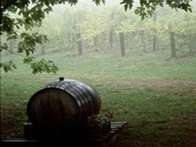 Arranmore Wines - Grafton Accommodation 2