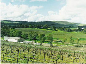 Stephen John Wines - Grafton Accommodation 2