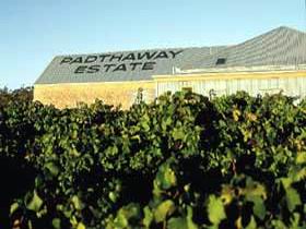 Padthaway Estate Winery - Grafton Accommodation 0