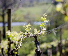 Bellarine Estate - Grafton Accommodation 0