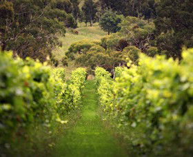 Tooborac VIC Grafton Accommodation
