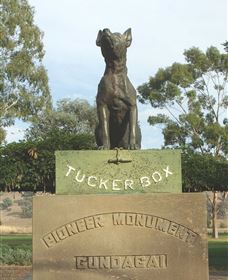 The Dog On The Tucker Box - Grafton Accommodation 0